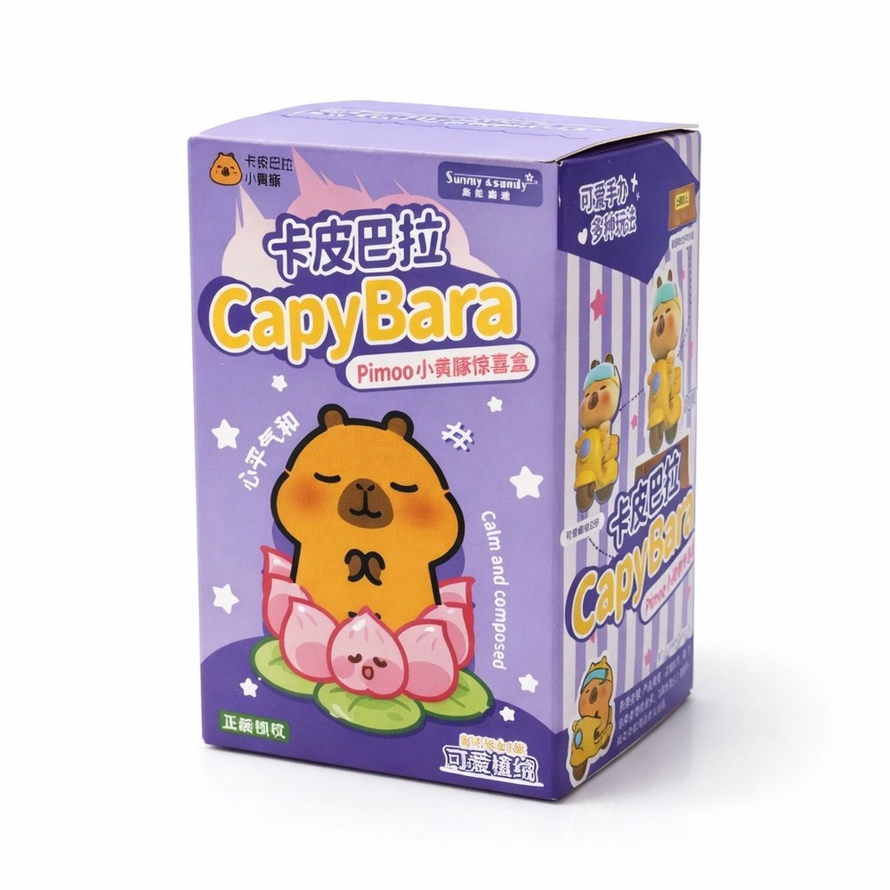 Sunny & Sandy CapyBara PIMOO Blind Box Sealed Collectible Figure 1 Random Toy